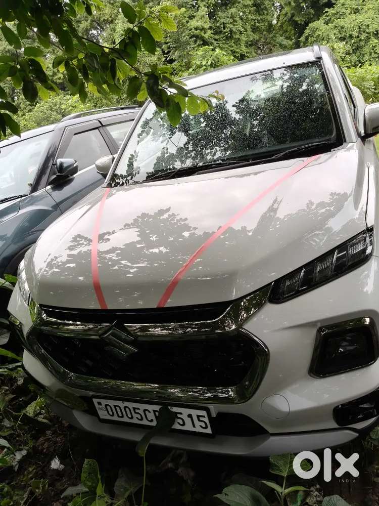 Maruti Suzuki Grand Vitara 2026 Petrol 2000 Km Driven