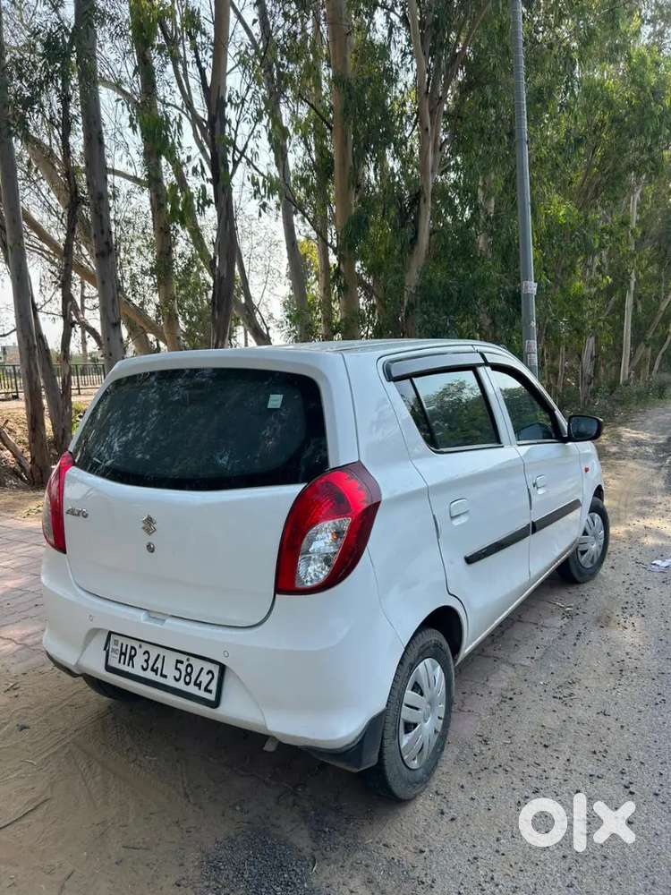 2021 Moudel Alto800vxi +