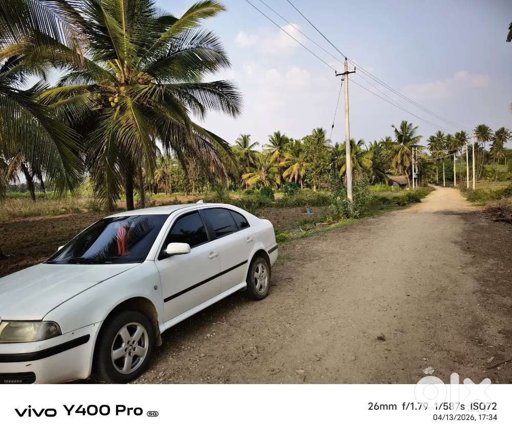 Skoda Octavia Ambiente 2009