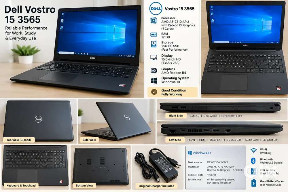 Dell Vostro 15 3565 Laptop | 12GB RAM | 256GB SSD | Good for Office &