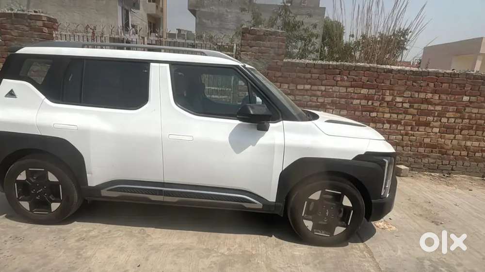 New Lani H Thqr Roxx