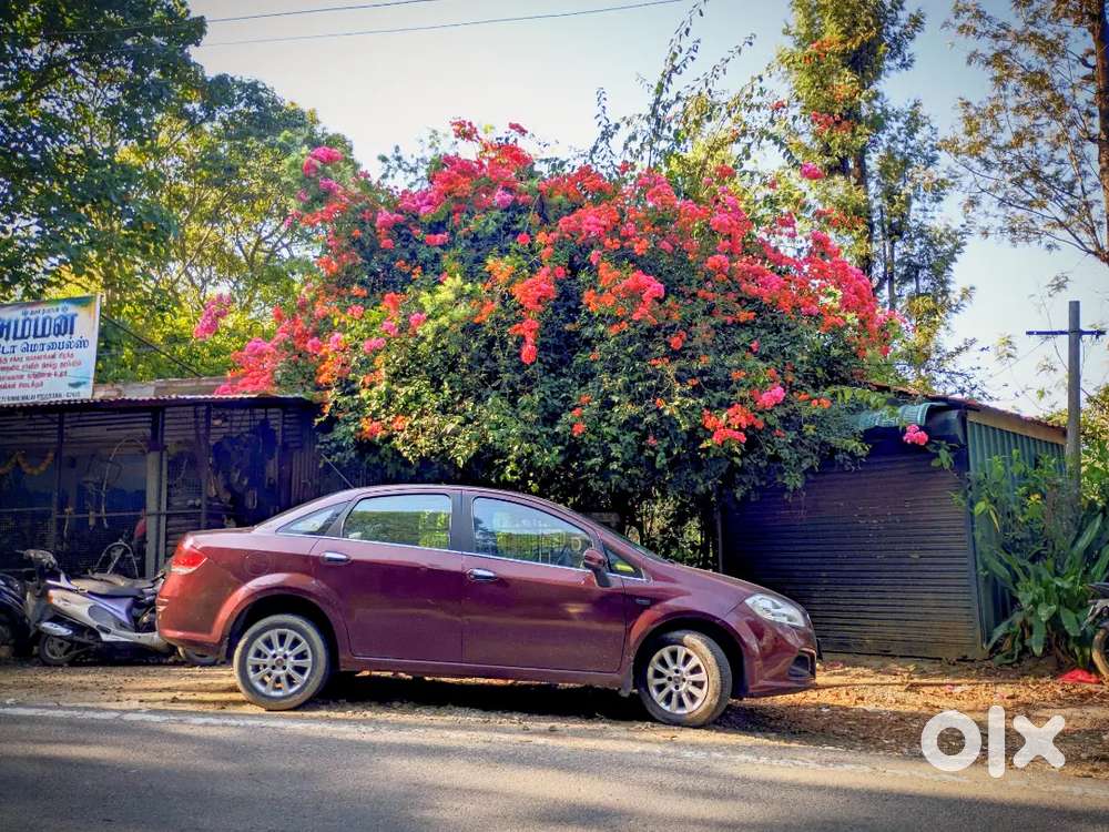 Fiat Linea 2015 Diesel Well Maintained Family Car