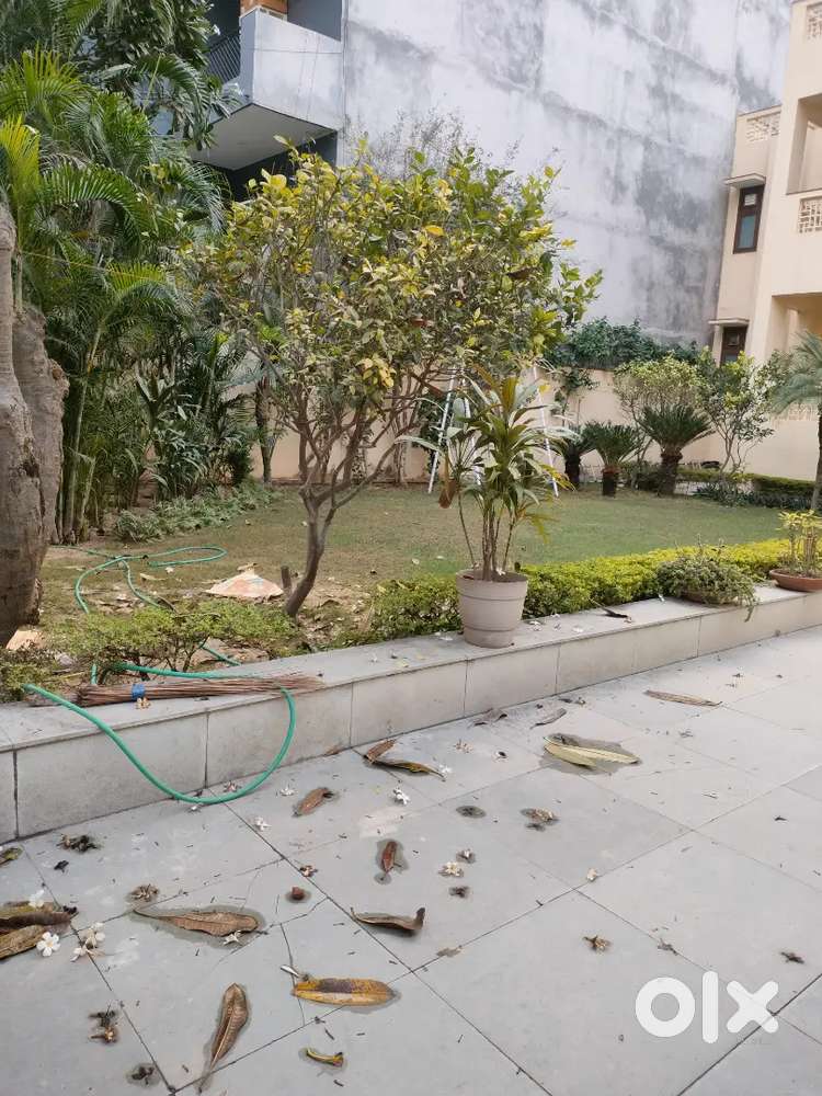 100sqyard plot for sale in new colony gurgaon Lands & Plots 1753966708