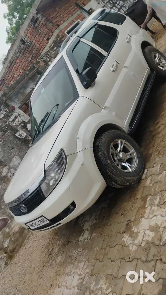 Safari Strome Lx 2013