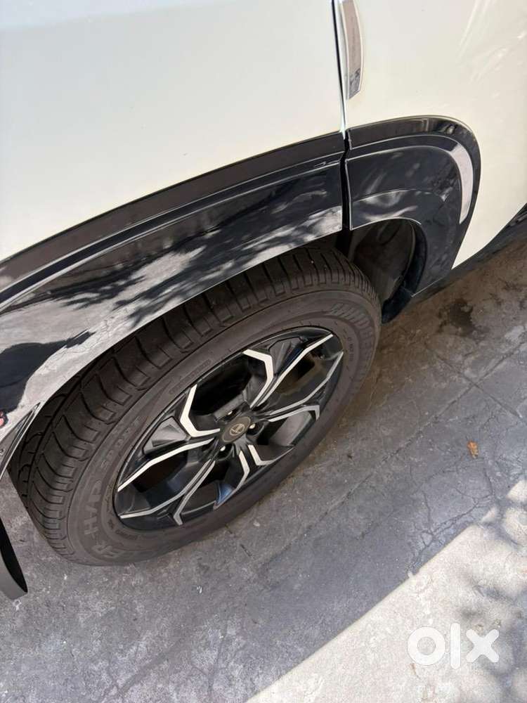 Tata Curvv Petrol 17500 Km Driven