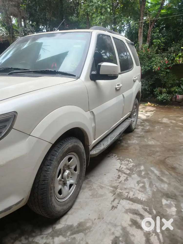 Tata Safari Storme Sell