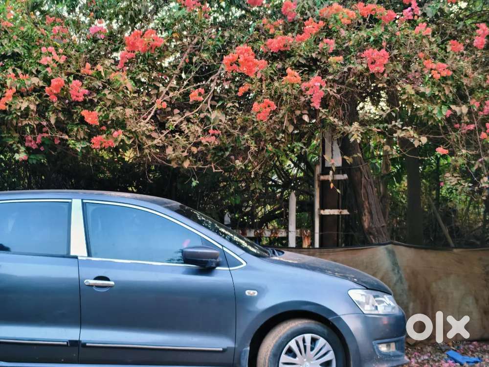 2014 Polo Comfortline