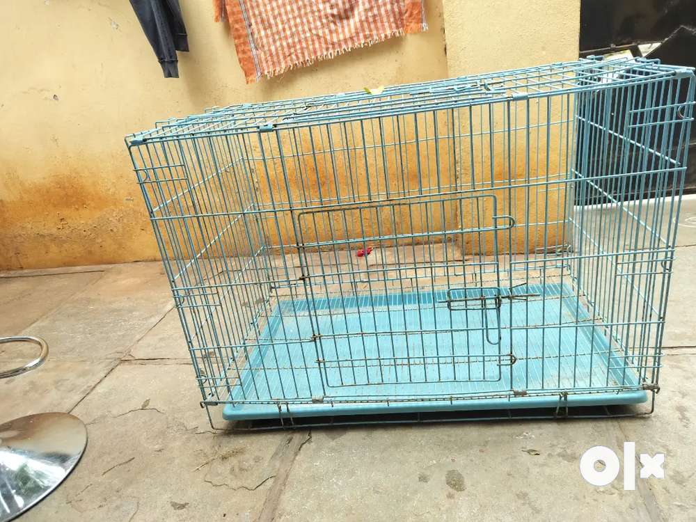 Dog cage hotsell price olx