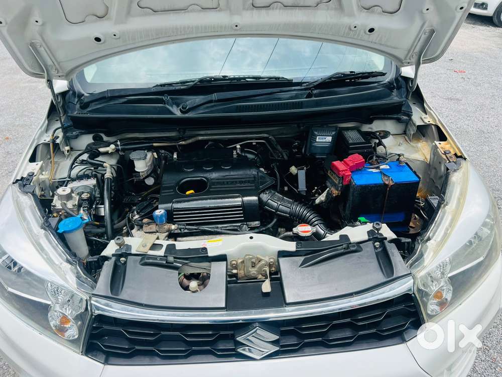 Maruti Suzuki Celerio Zxi Optional Mt, 2019, Cng & Hybrids