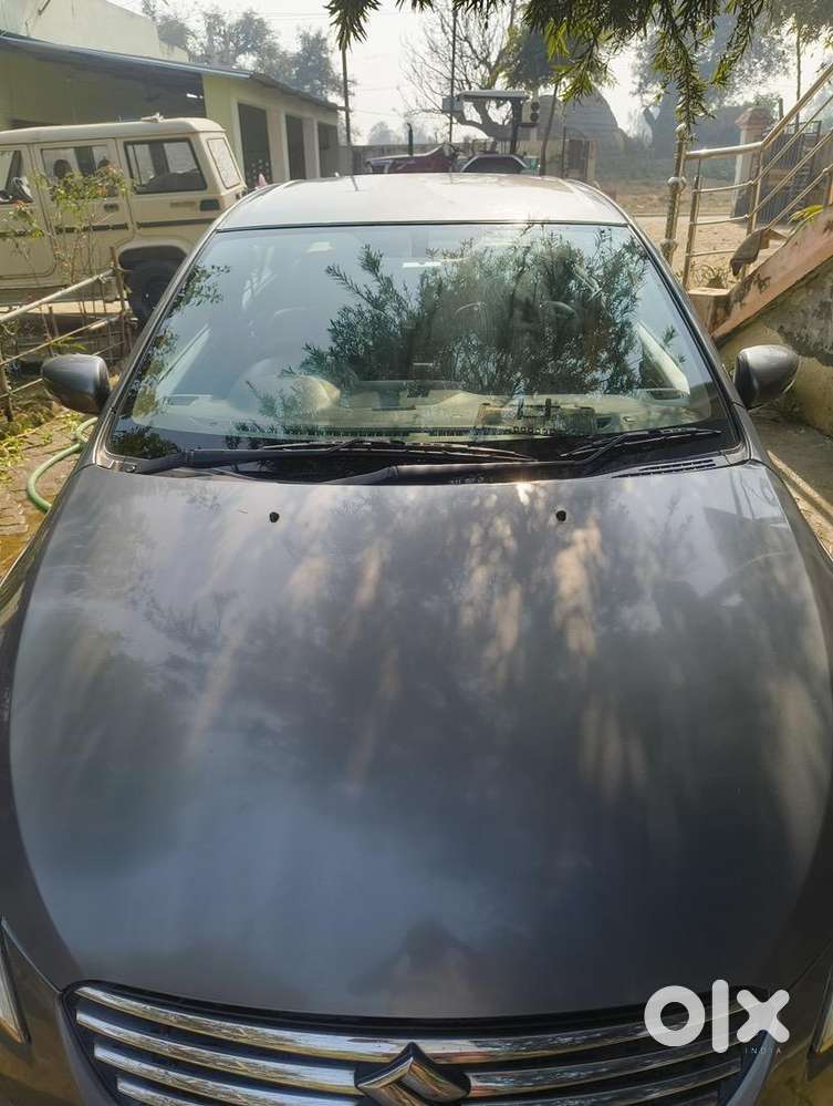 Maruti Suzuki Diesel 2019