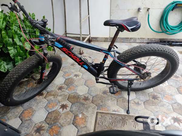 Fat bike cycle