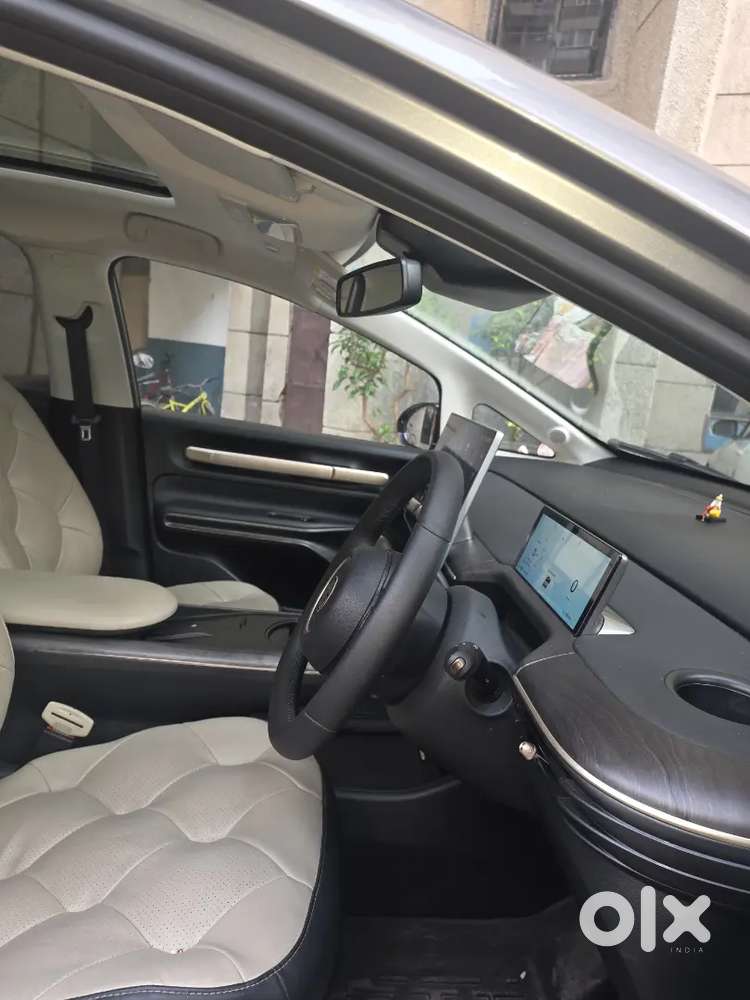 Mg Windsor Ev 2025 [52kw] (pro)electric Graphine Coated