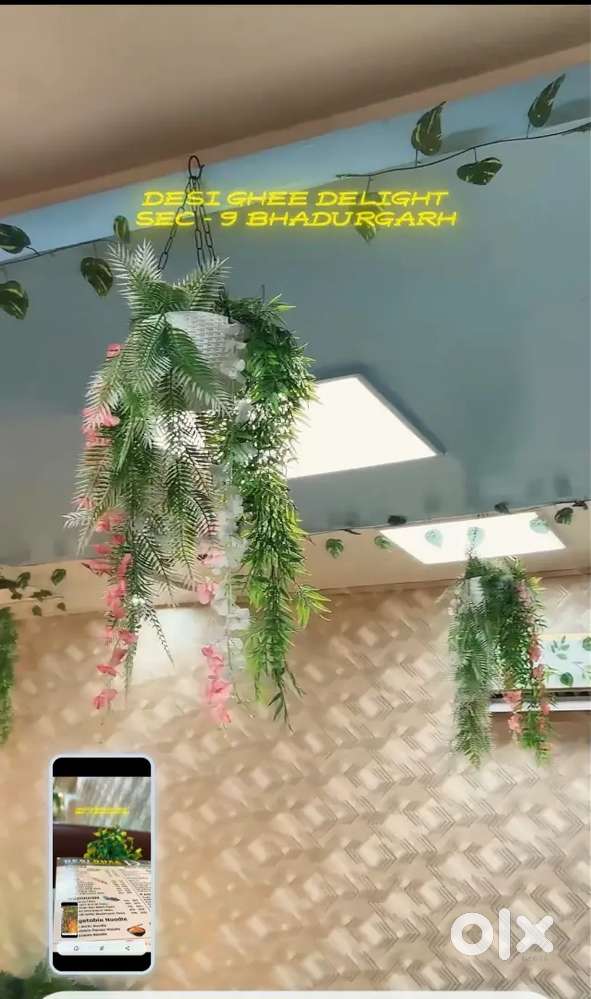Restaurant ha. Secter 9  Huda market