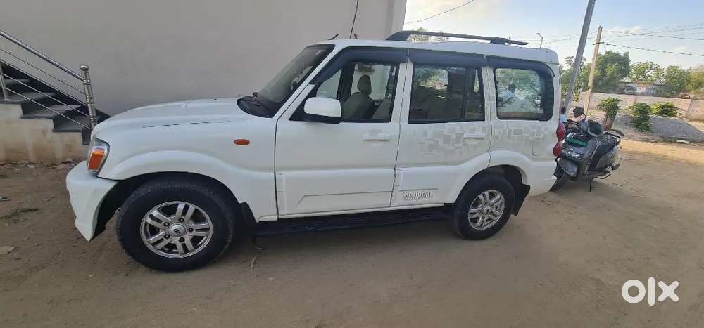 Scokripo 2014 Sale
