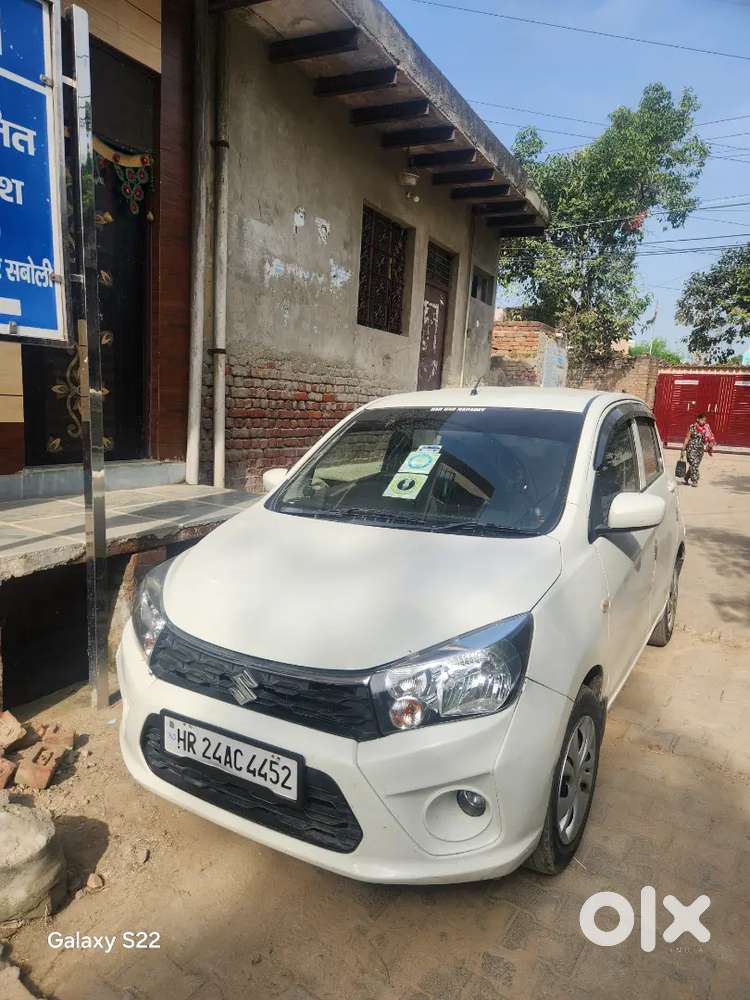2020 Model Campany Fitted