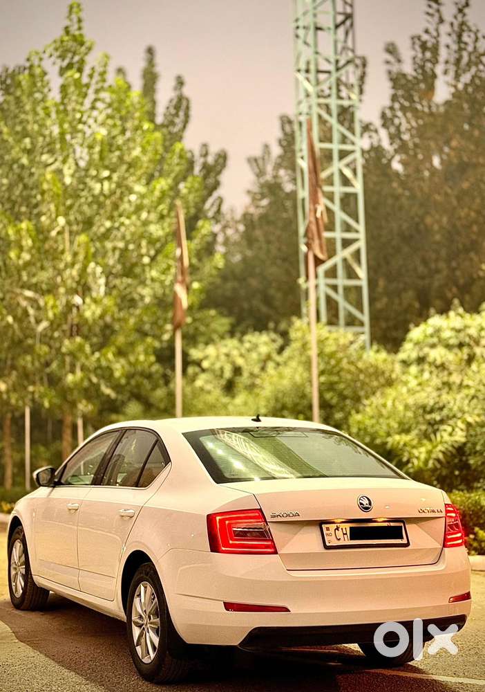 Skoda Octavia 2.0 Tdi Style Plus At, 2017, Diesel