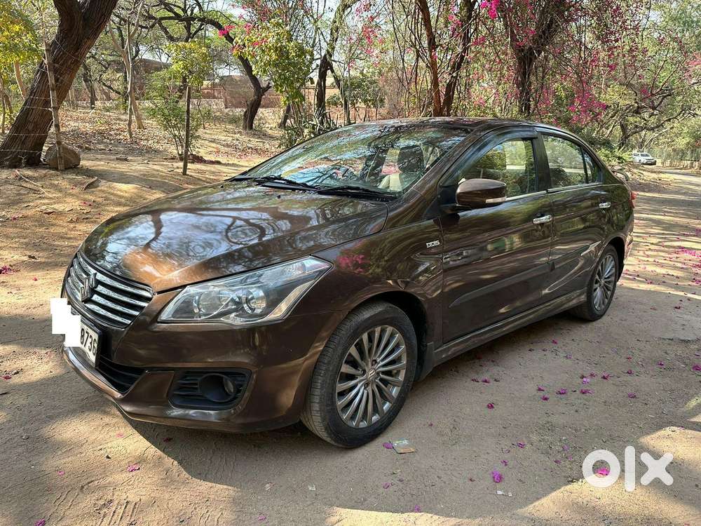 Maruti Suzuki Ciaz Zdi Plus Shvs, 2017, Diesel