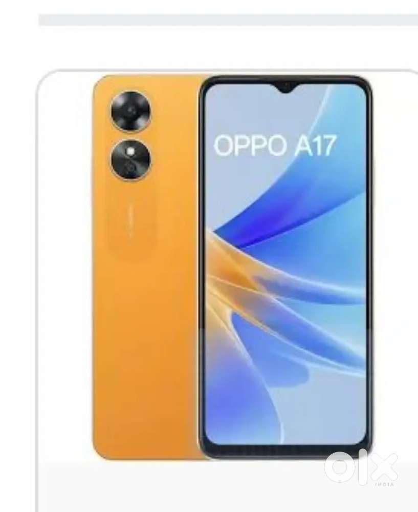 Koi problem nhi hai