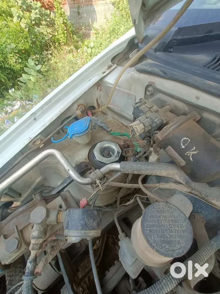 Maruti Suzuki Alto 2009 Petrol+cng