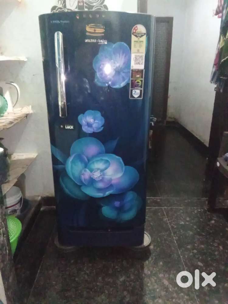 New fridge i went urgent propose sailing