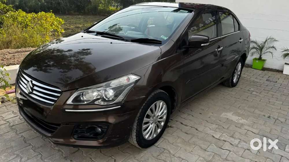 Maruti Suzuki Ciaz Zxi 2015 Car