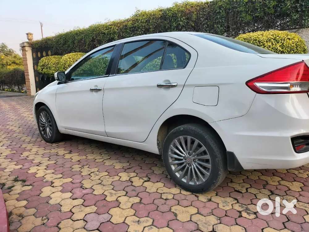 Ciaz Diesel Zdi+ 2016 December