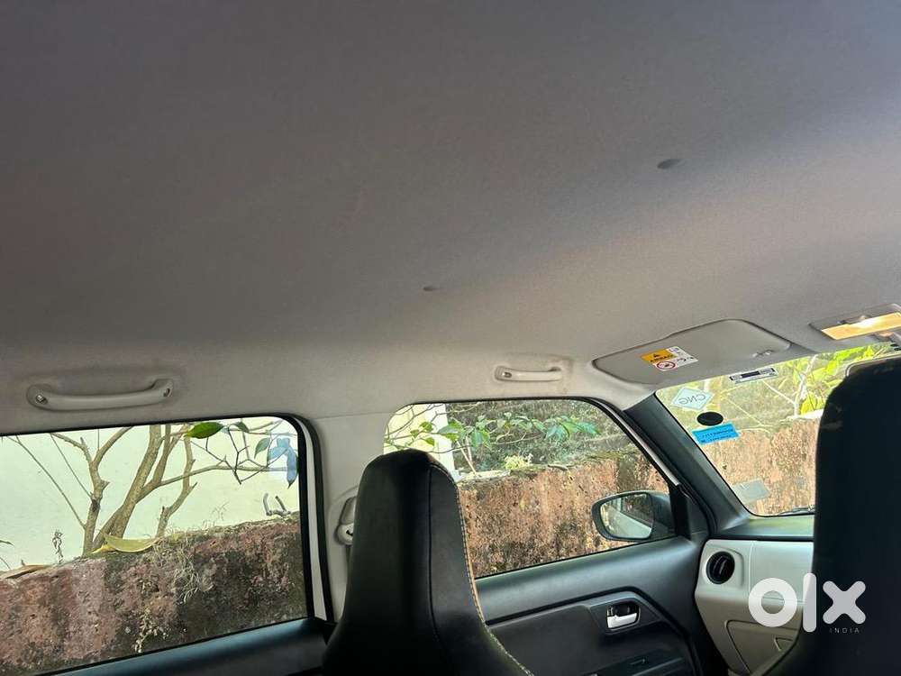 Maruti Suzuki Wagon R Cng & Hybrids 17666 Km Driven