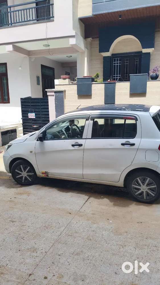 Maruti Automatic Celerio 2014 Petrol 55000 Km Driven - First Hand