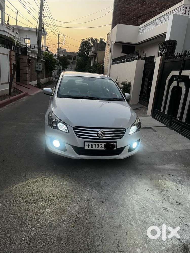 Maruti Suzuki Ciaz White Top Alpha In Brand New Conditio