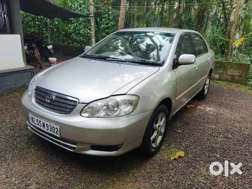 Toyota Corolla 2006 Manual Year