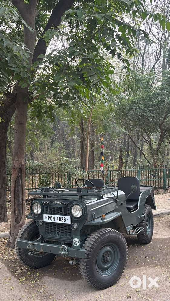 Fry I He Ruingfujngrhhggyjh