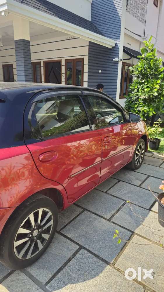 All Company Service& Well Maintained