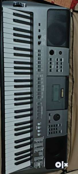 Olx organ store keyboard