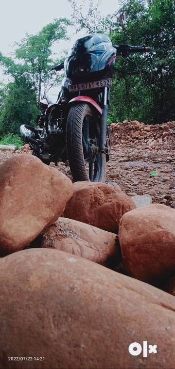 Bike and good condition Bajaj Pulsar 2014 model 150 Pulsar color Red. Motorcycles 1786428990
