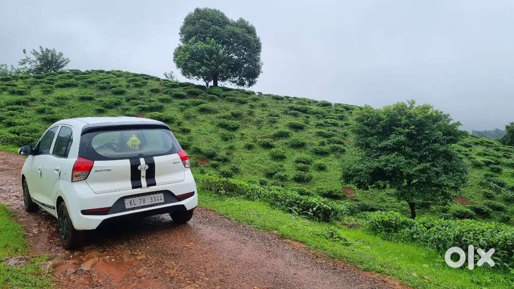 Hyundai Santro 2019 Petrol Well Maintained