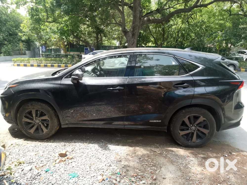 Lexus Nx, 2018, Petrol