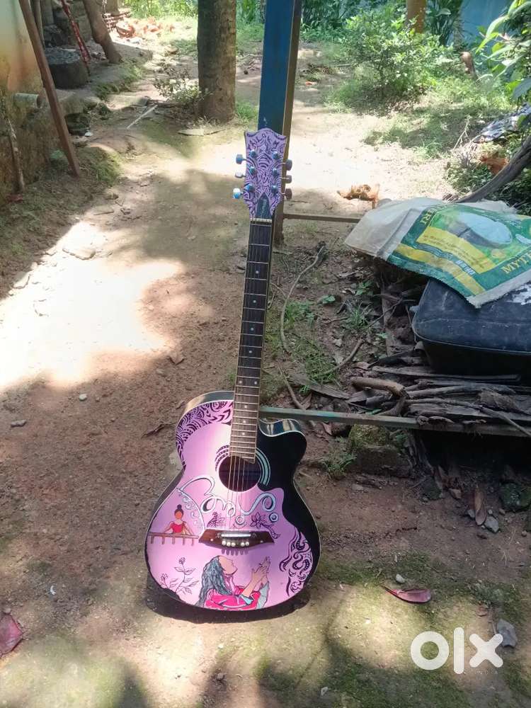 Challenger Acoustic Guitar