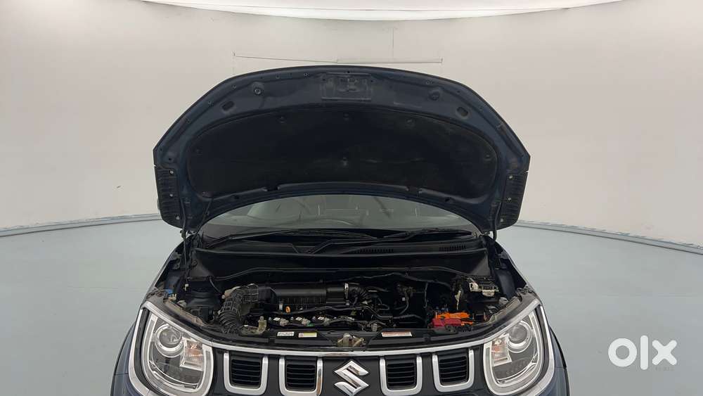 Maruti Suzuki Ignis 1.2 Alpha Mt, 2022, Petrol
