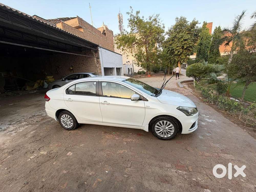 Maruti Suzuki Ciaz 2019 Diesel Good Condition