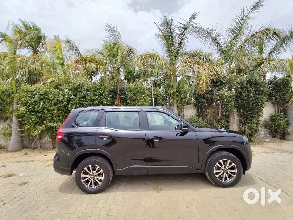 Brand New Car