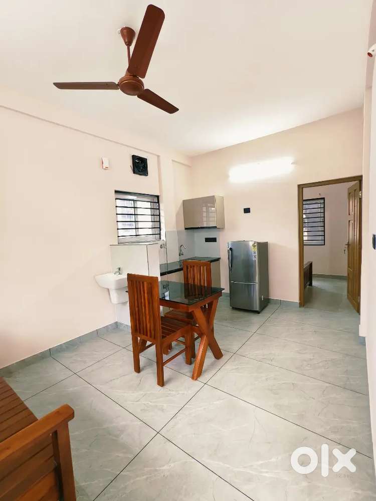 1RK in Kakkanad