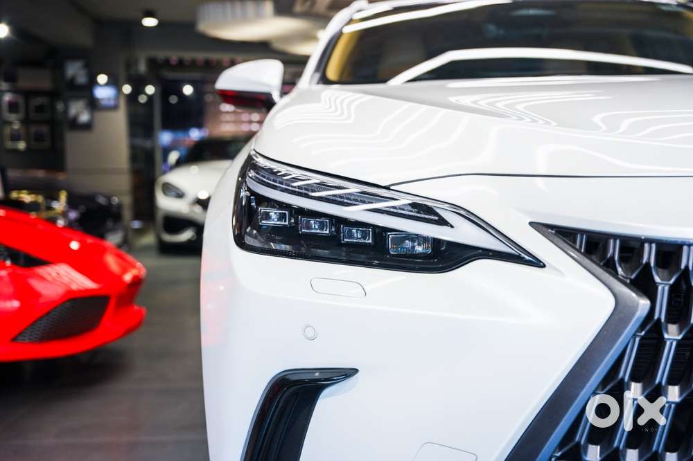 Lexus Nx 350h Exquisite, 2024, Petrol