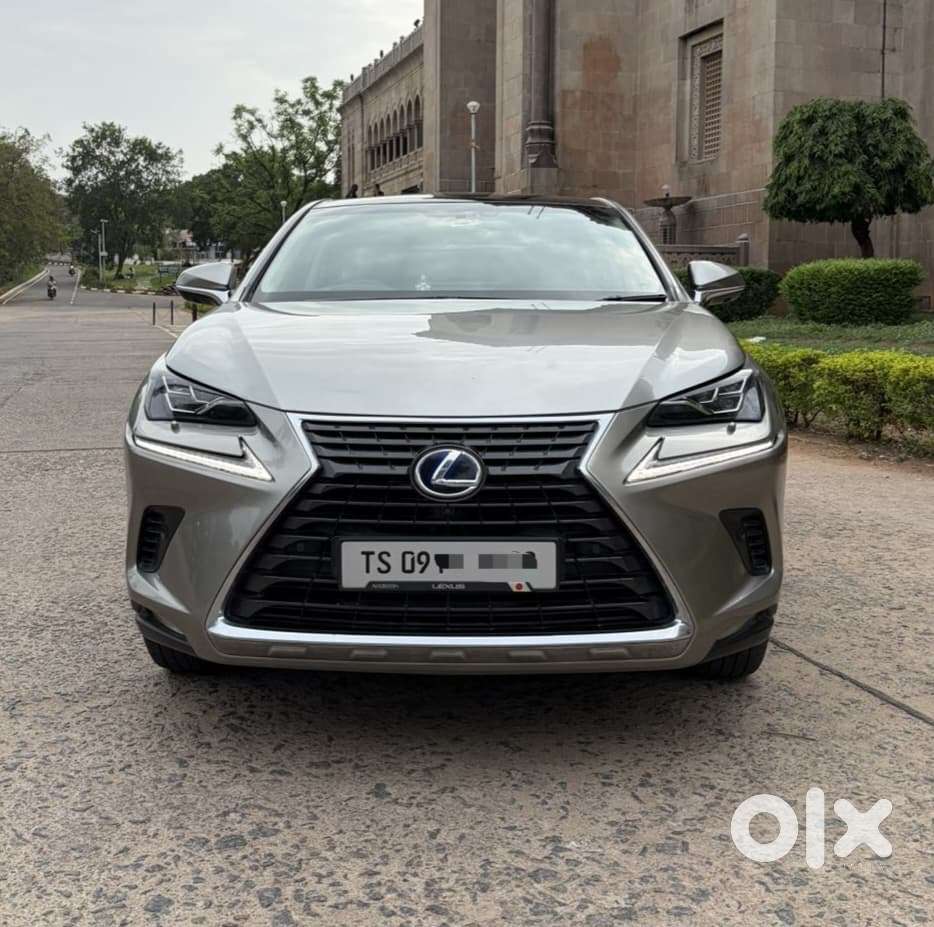 Lexus Nx Lexus-nx-300h-luxury, 2019, Petrol