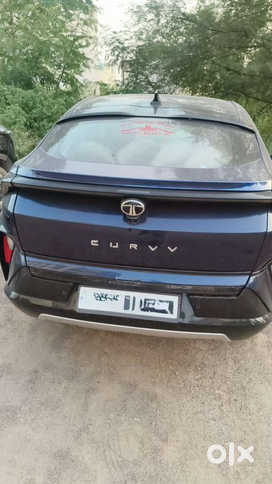 Tata Curvv Petrol Manual 2024