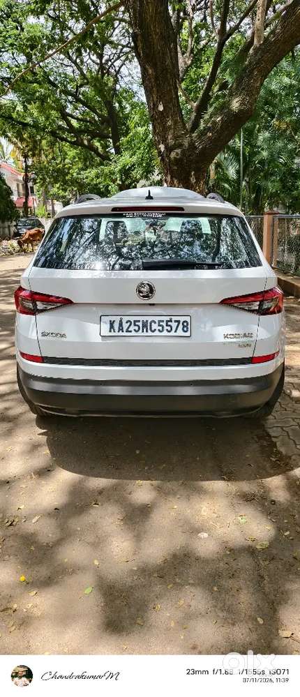 Skoda Kodiaq Diesel 2019