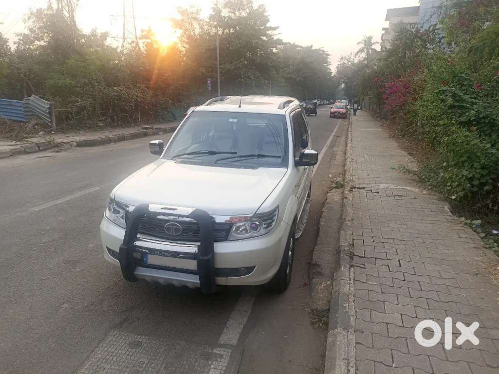 Well Maintained - Safari Storme Vx (top Model) – A True Road Beast!