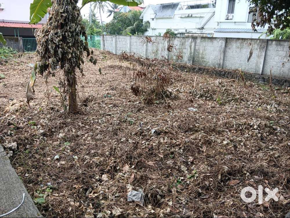 4 Cent Puredam for sale - Lands & Plots in Kadavanthara, Kochi - 1858937811