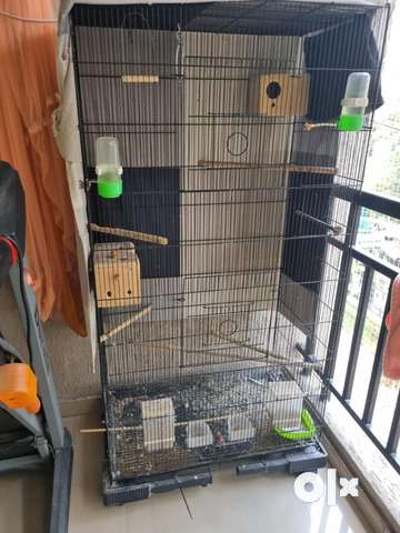 Parrot cage hot sale olx