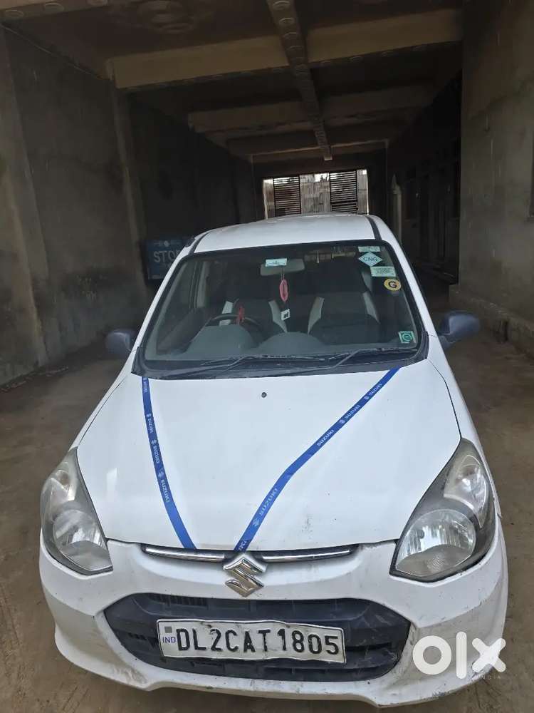 Alto 800 White