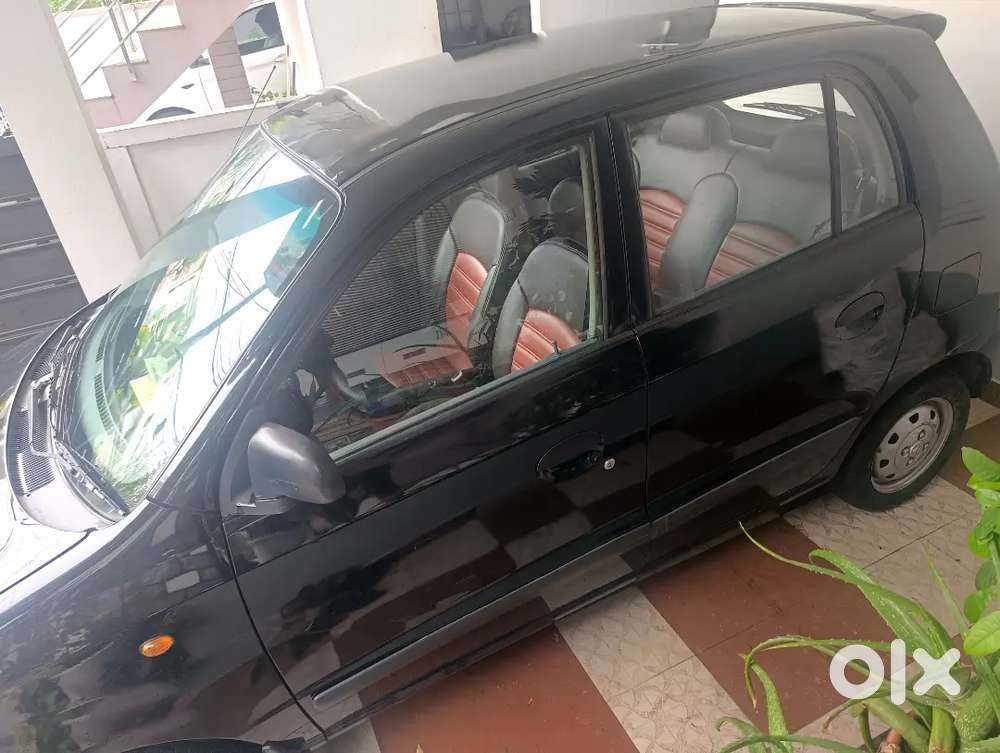 Hyundai Santro Xing 2007 Variant Xl